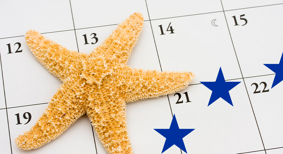 Immagine con una stella marina su un calendario che rappresenta l'aggiornamento dei bandi europei 2024 di giugno